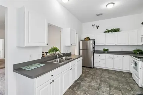 2408 Carriage Hill Way The Villages FL 32162