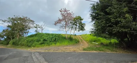 Bo Martin Gonzalez Calle Campeche Carolina PR 00987