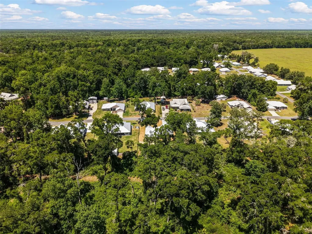 9100 Dorie Drive Trenton FL 32693