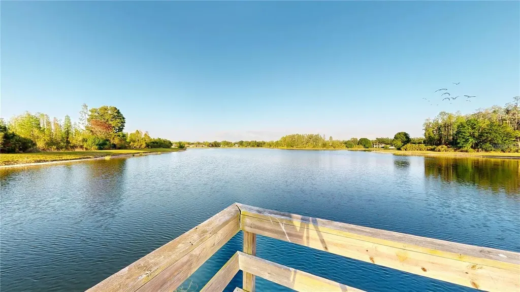 17744 Esprit Drive Tampa FL 33647