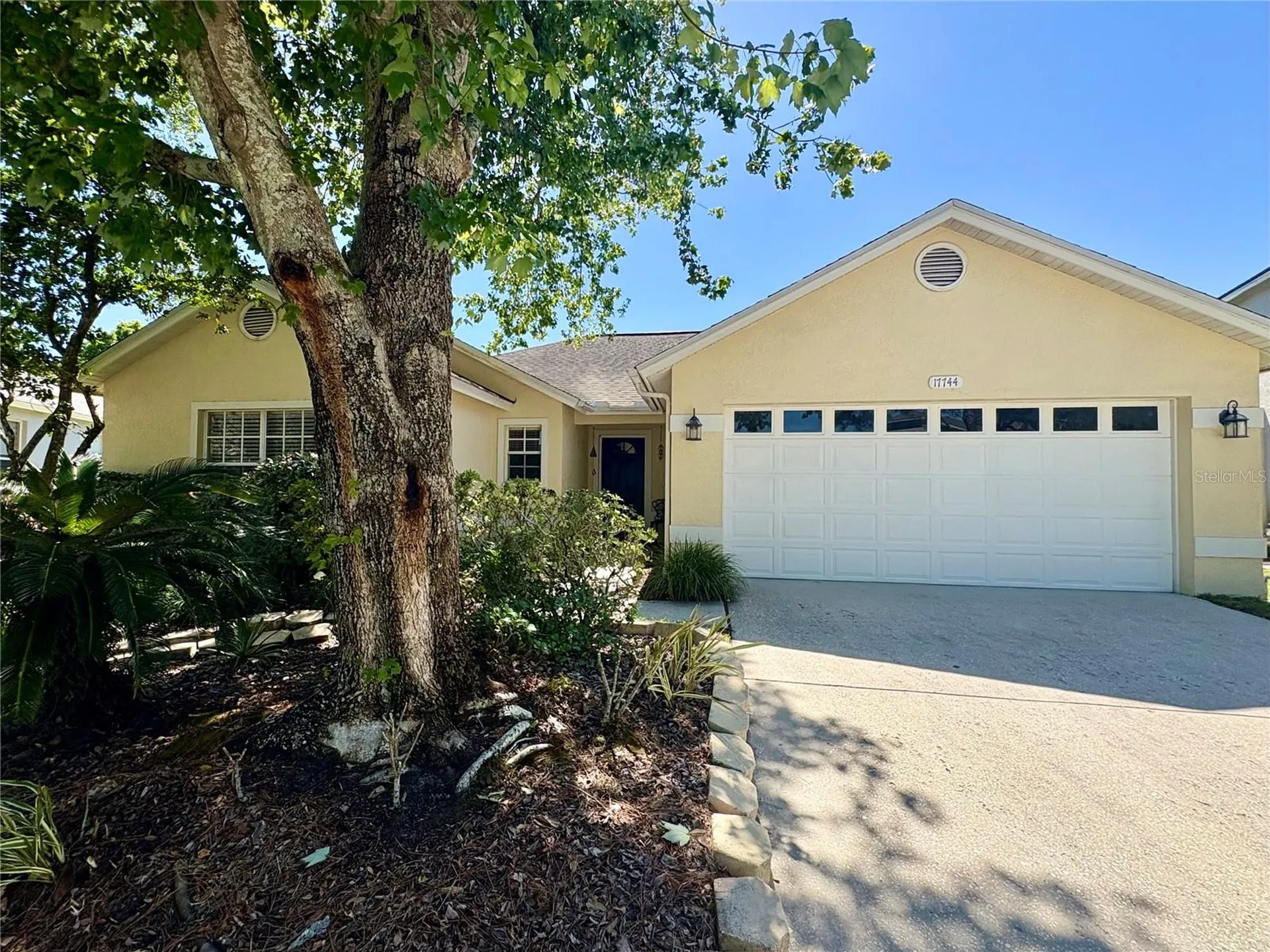 17744 Esprit Drive Tampa FL 33647