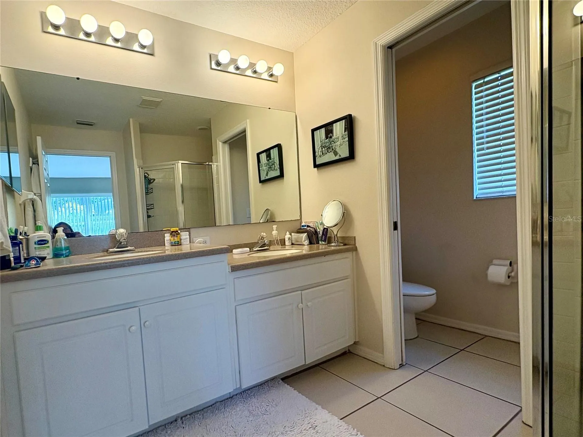 17744 Esprit Drive Tampa FL 33647