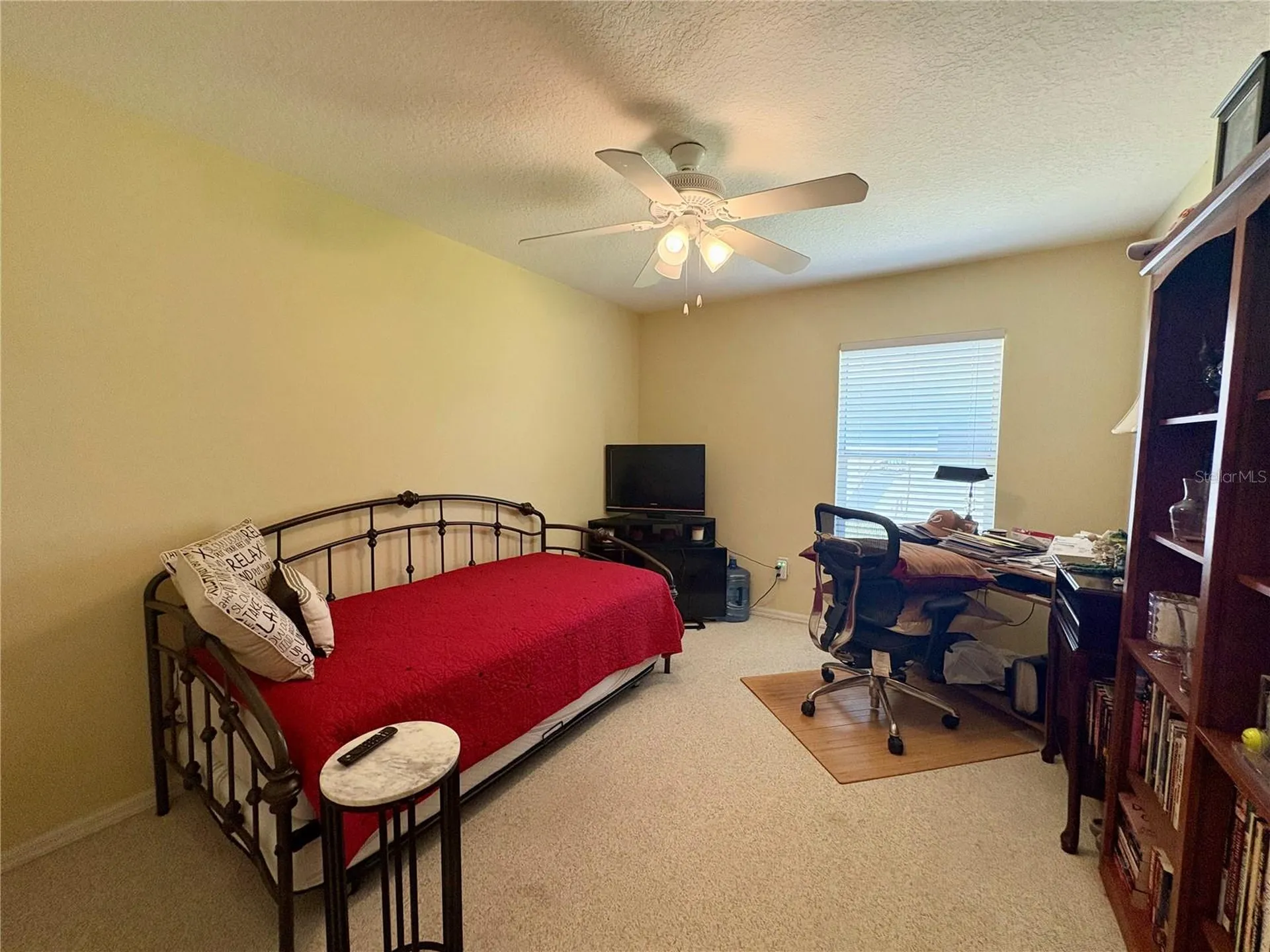 17744 Esprit Drive Tampa FL 33647