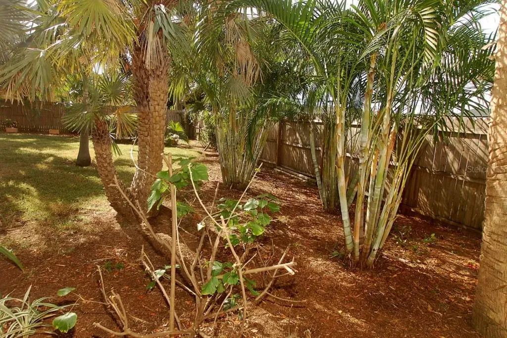 468 Limewood Avenue Dunedin FL 34698