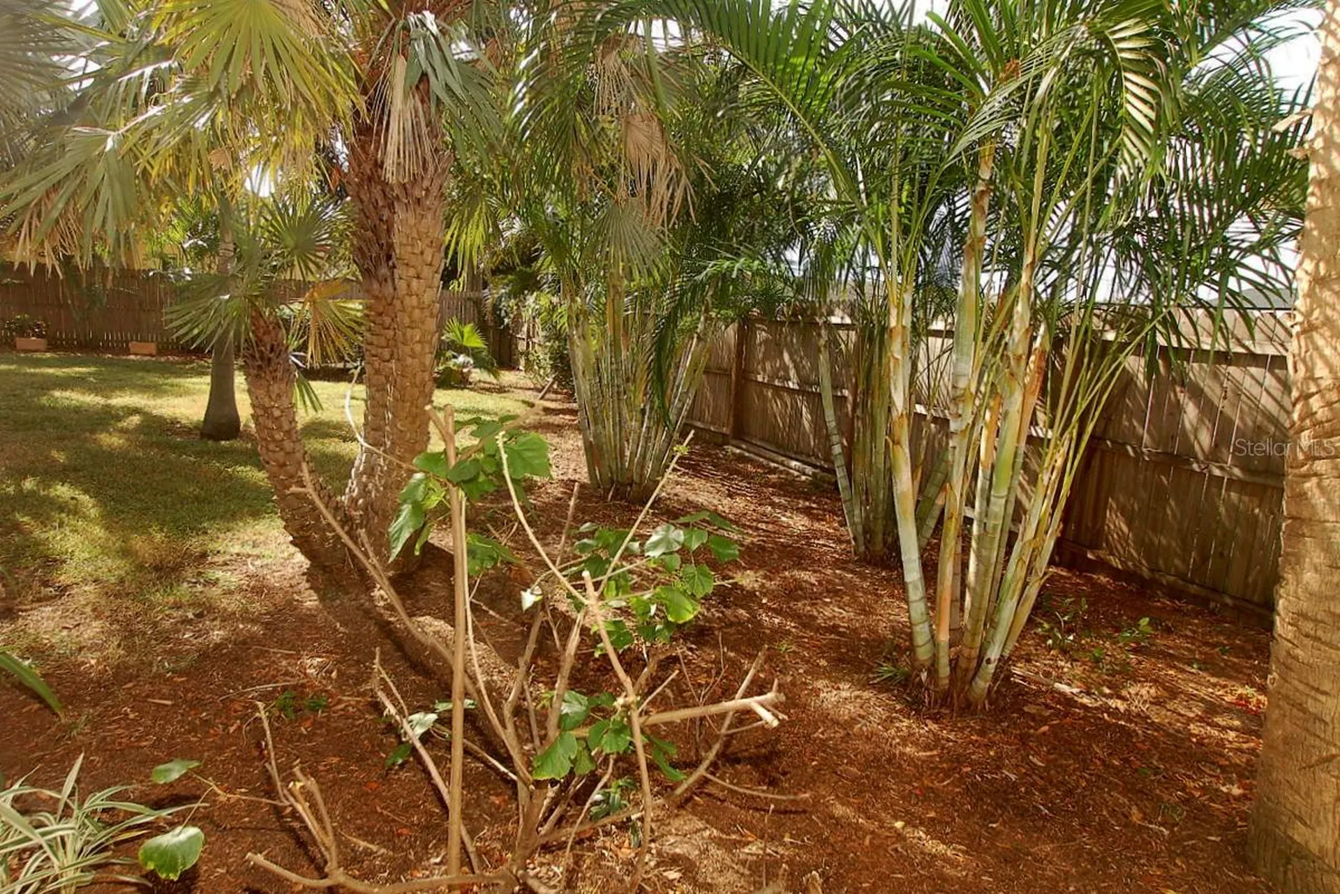 468 Limewood Avenue Dunedin FL 34698