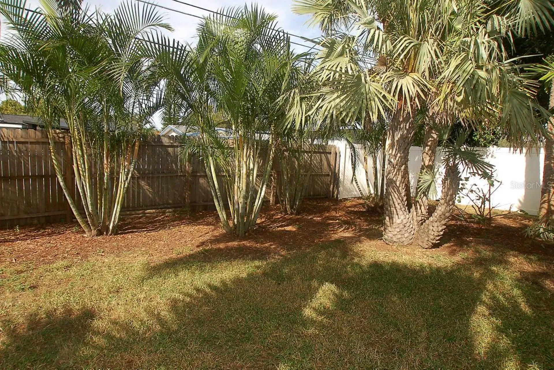 468 Limewood Avenue Dunedin FL 34698
