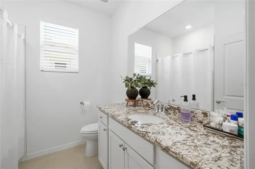 32305 Lexington Street Wesley Chapel FL 33543