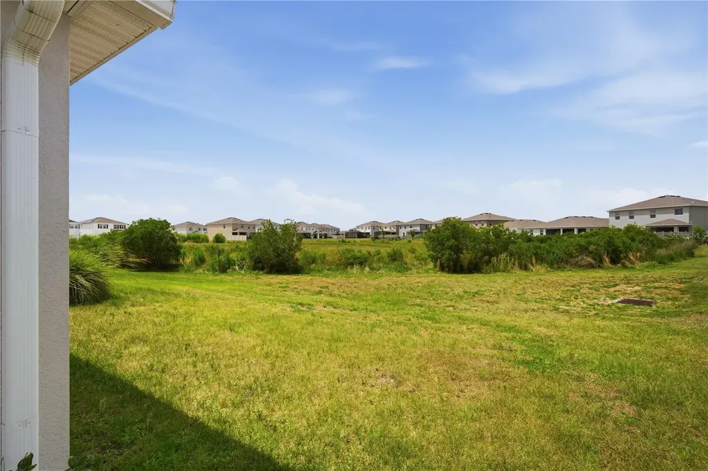 32305 Lexington Street Wesley Chapel FL 33543
