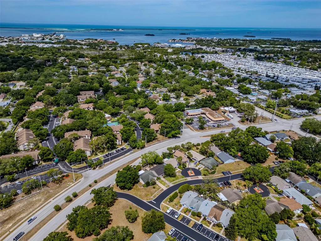 890 Jackson Court Palm Harbor FL 34683
