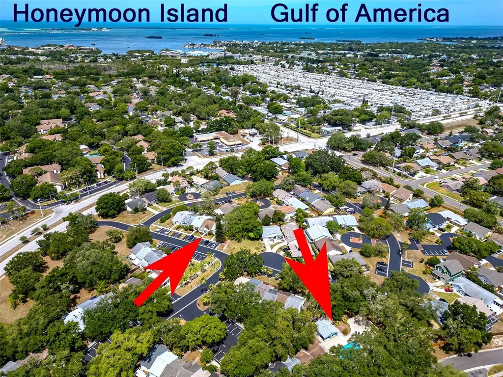 890 Jackson Court Palm Harbor FL 34683