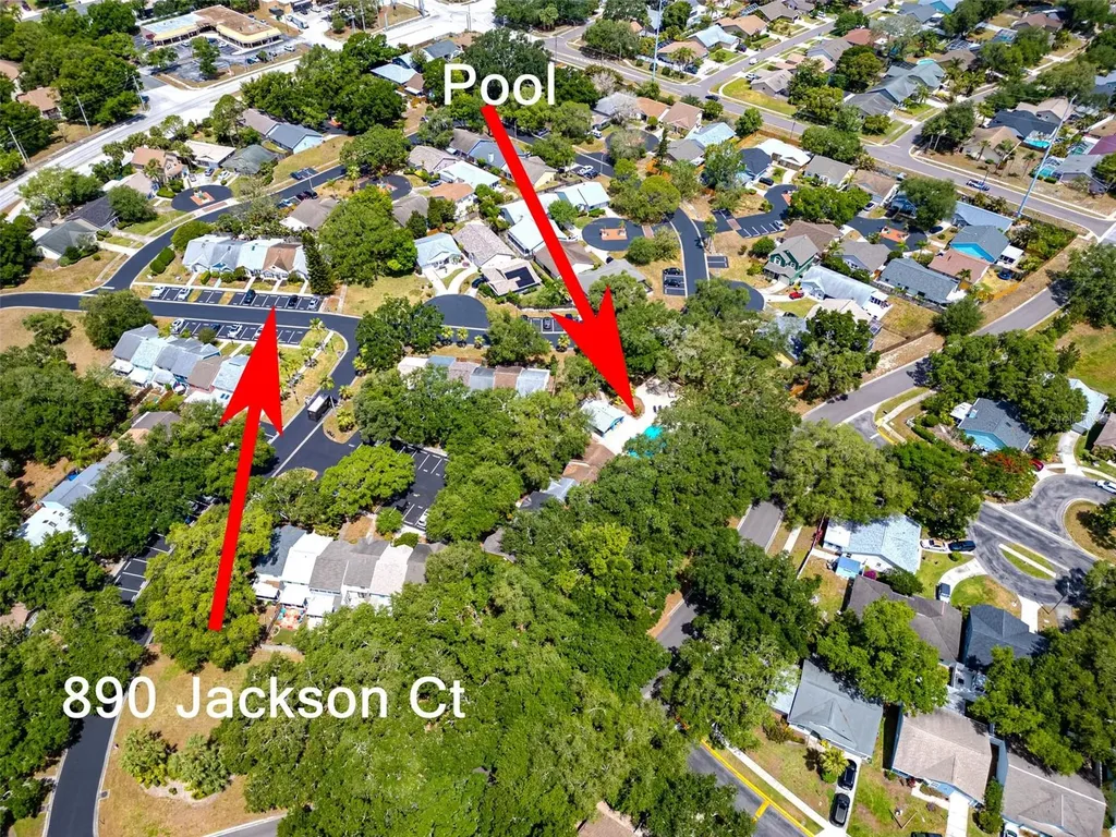 890 Jackson Court Palm Harbor FL 34683