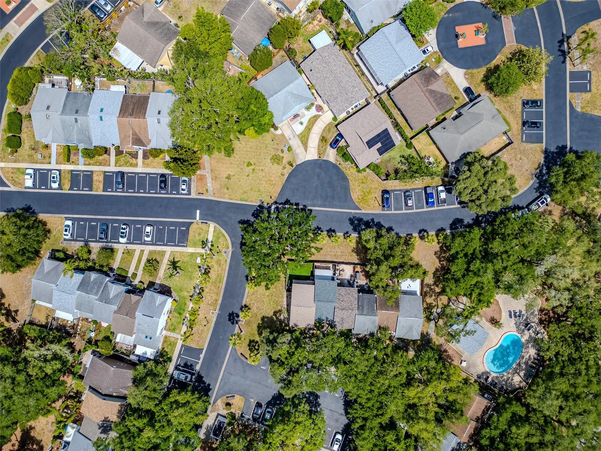890 Jackson Court Palm Harbor FL 34683