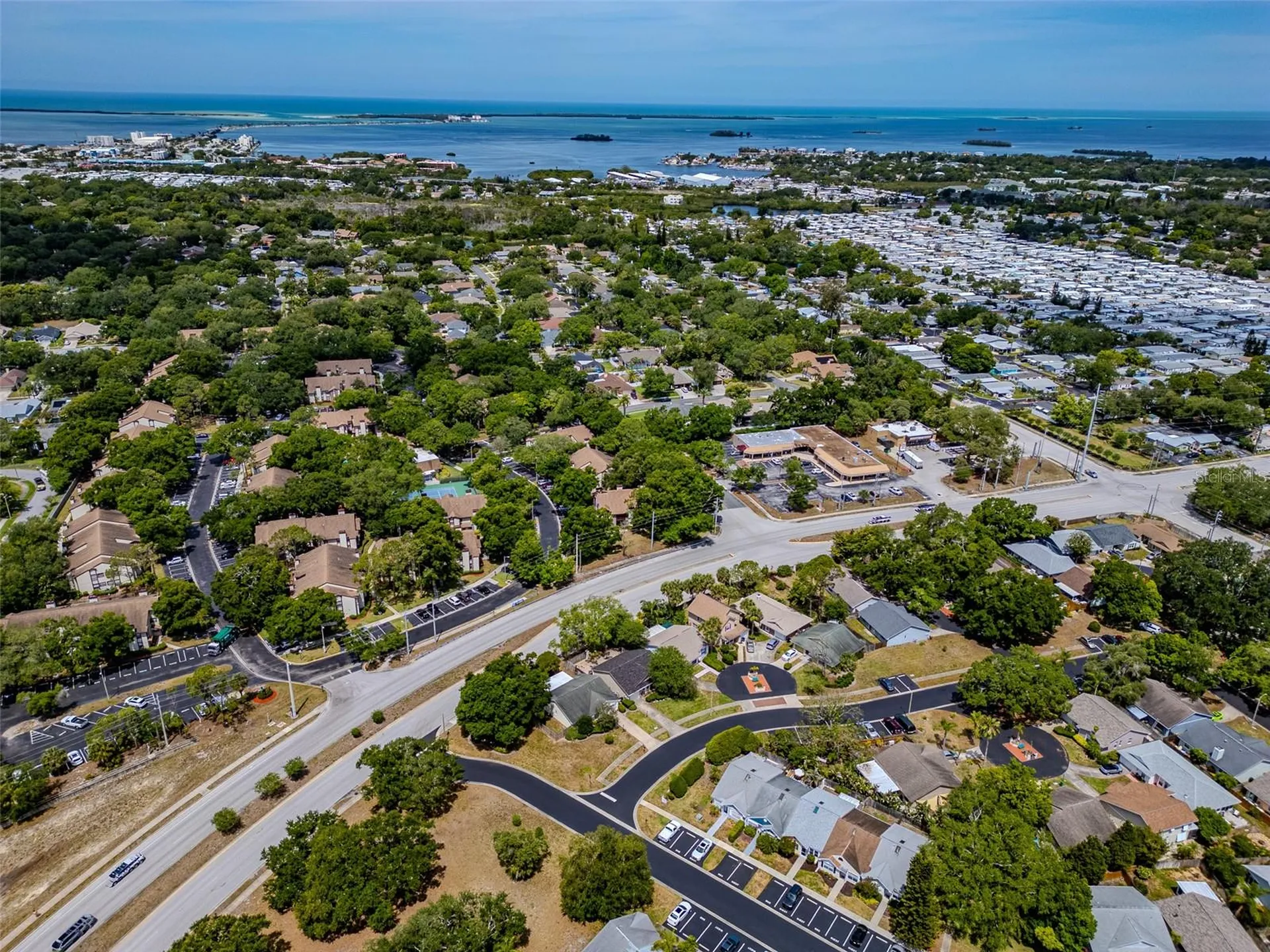 890 Jackson Court Palm Harbor FL 34683