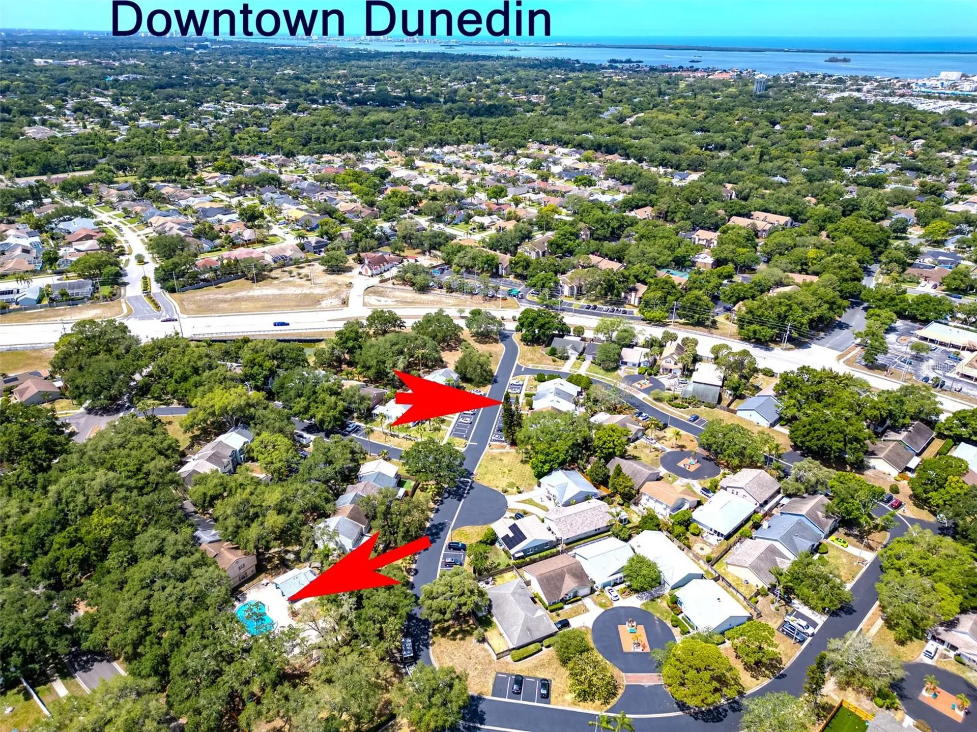 890 Jackson Court Palm Harbor FL 34683