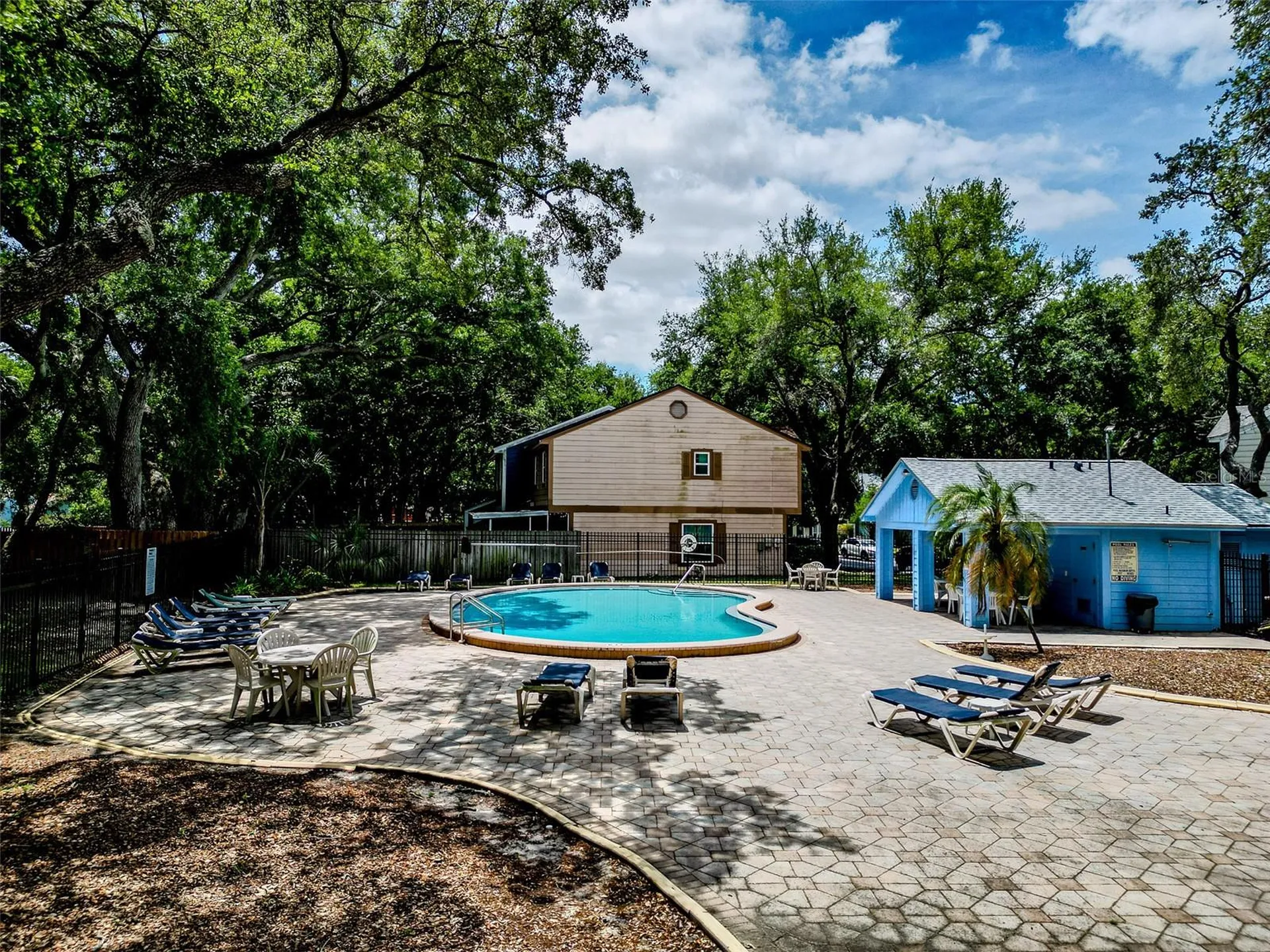 890 Jackson Court Palm Harbor FL 34683