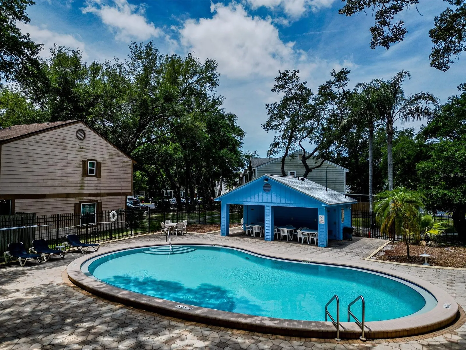 890 Jackson Court Palm Harbor FL 34683