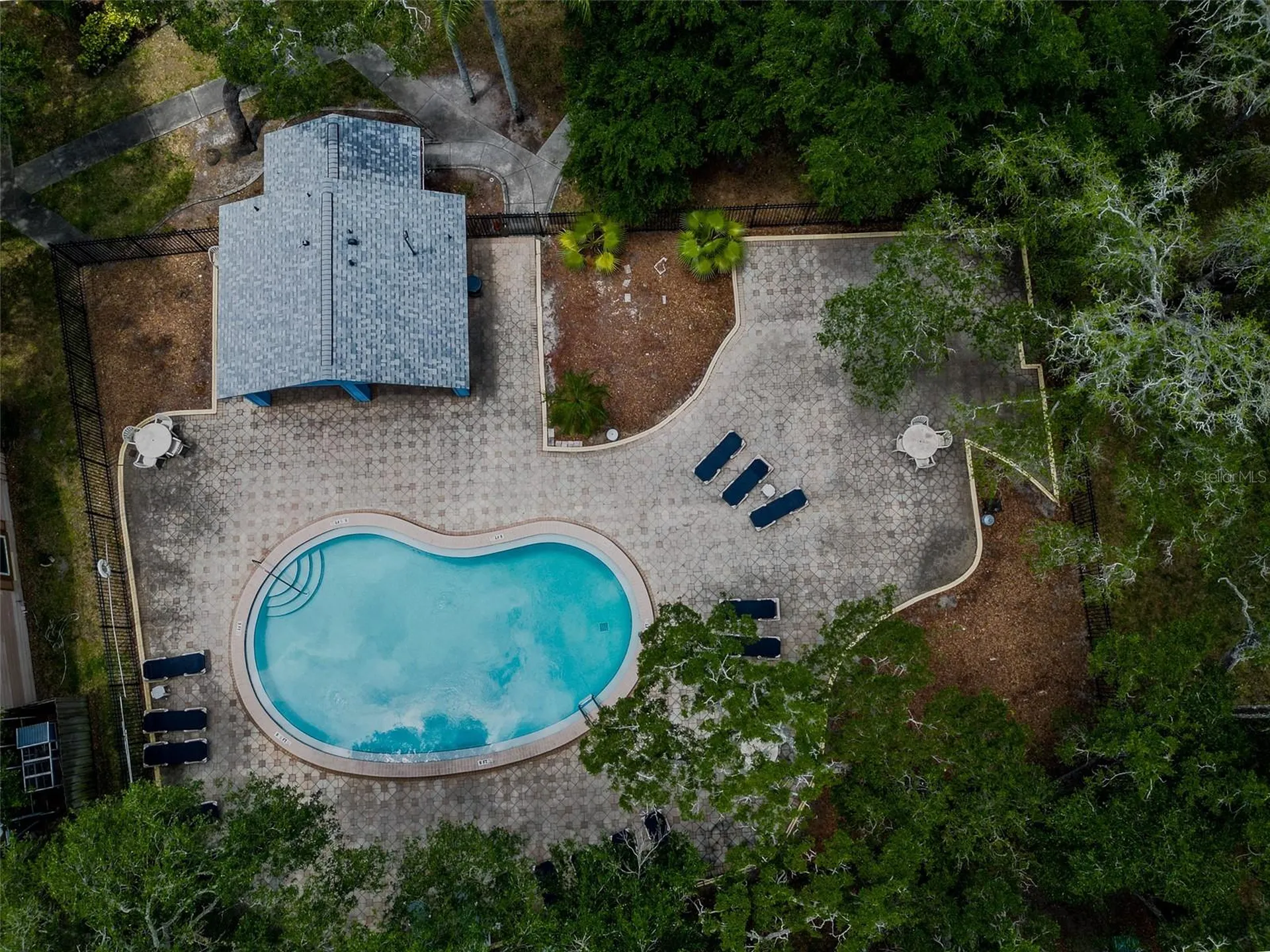 890 Jackson Court Palm Harbor FL 34683