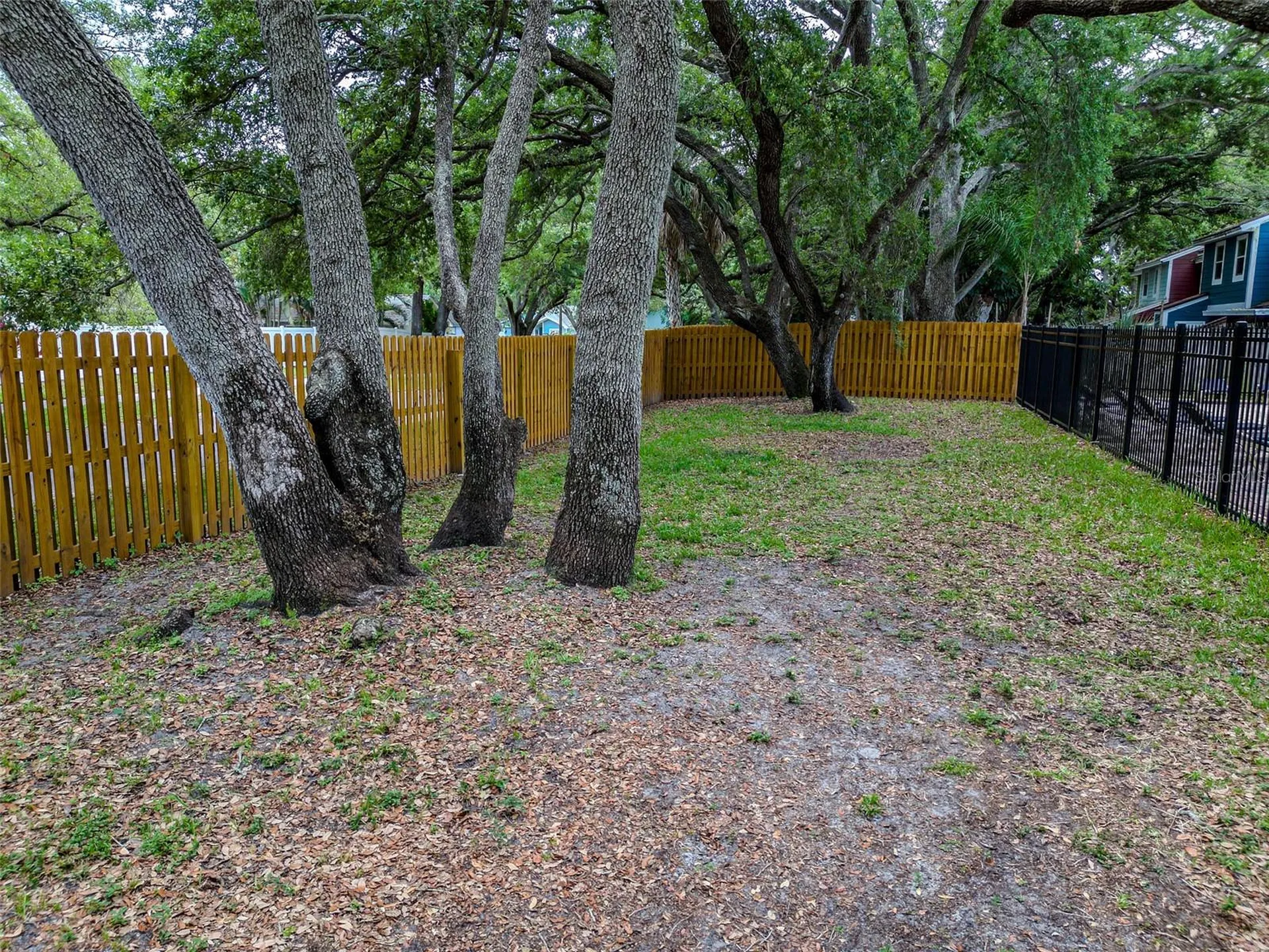 890 Jackson Court Palm Harbor FL 34683