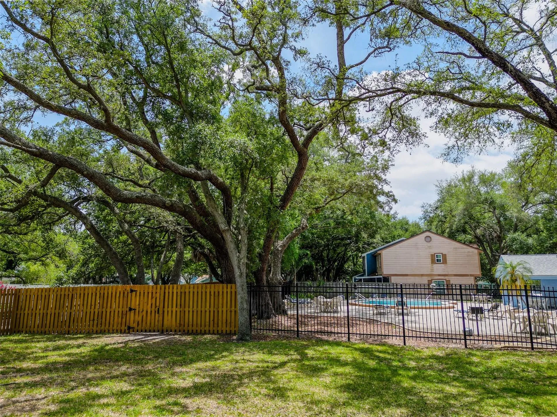 890 Jackson Court Palm Harbor FL 34683