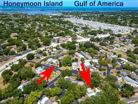 890 Jackson Court Palm Harbor FL 34683
