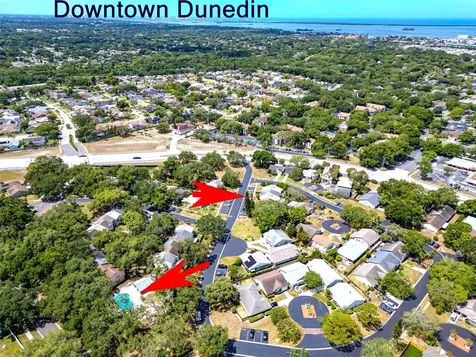 890 Jackson Court Palm Harbor FL 34683