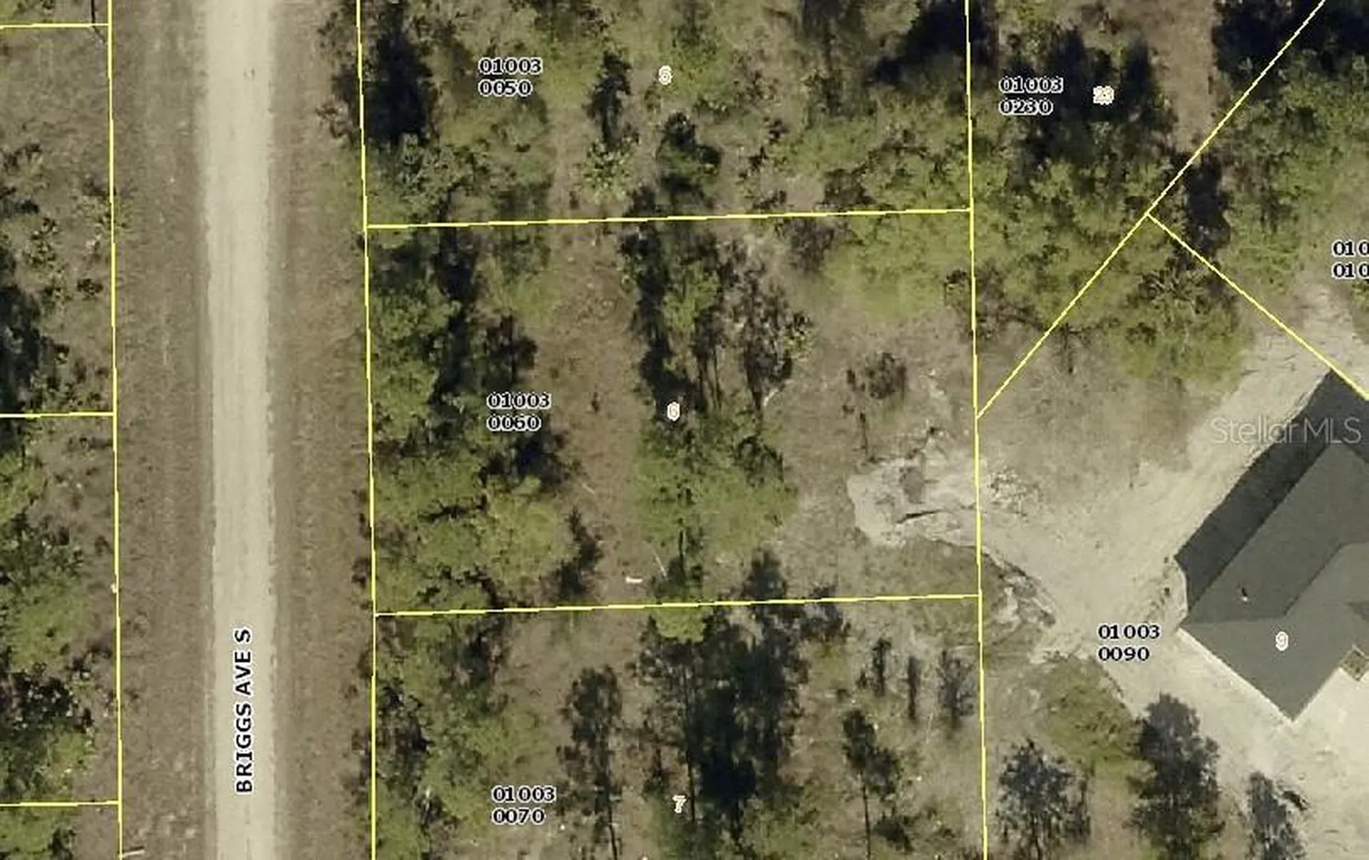 315 Briggs Avenue S Lehigh Acres FL 33974