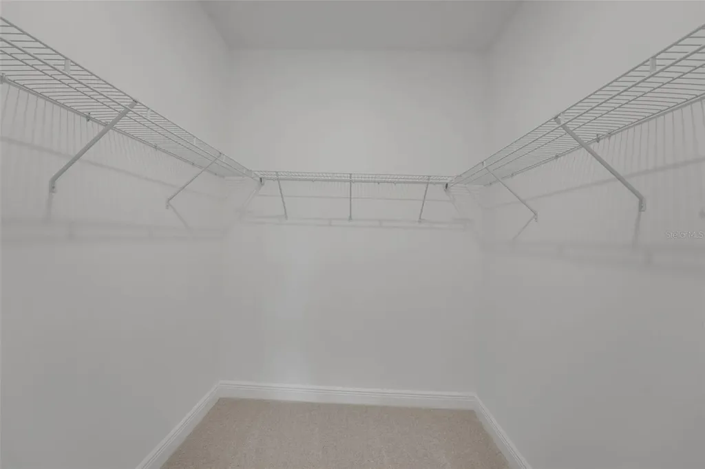 15081 Tea Tree Drive Winter Garden FL 34787