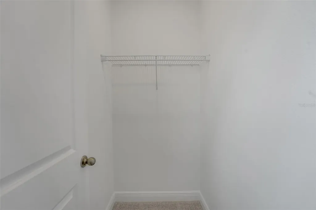 15081 Tea Tree Drive Winter Garden FL 34787