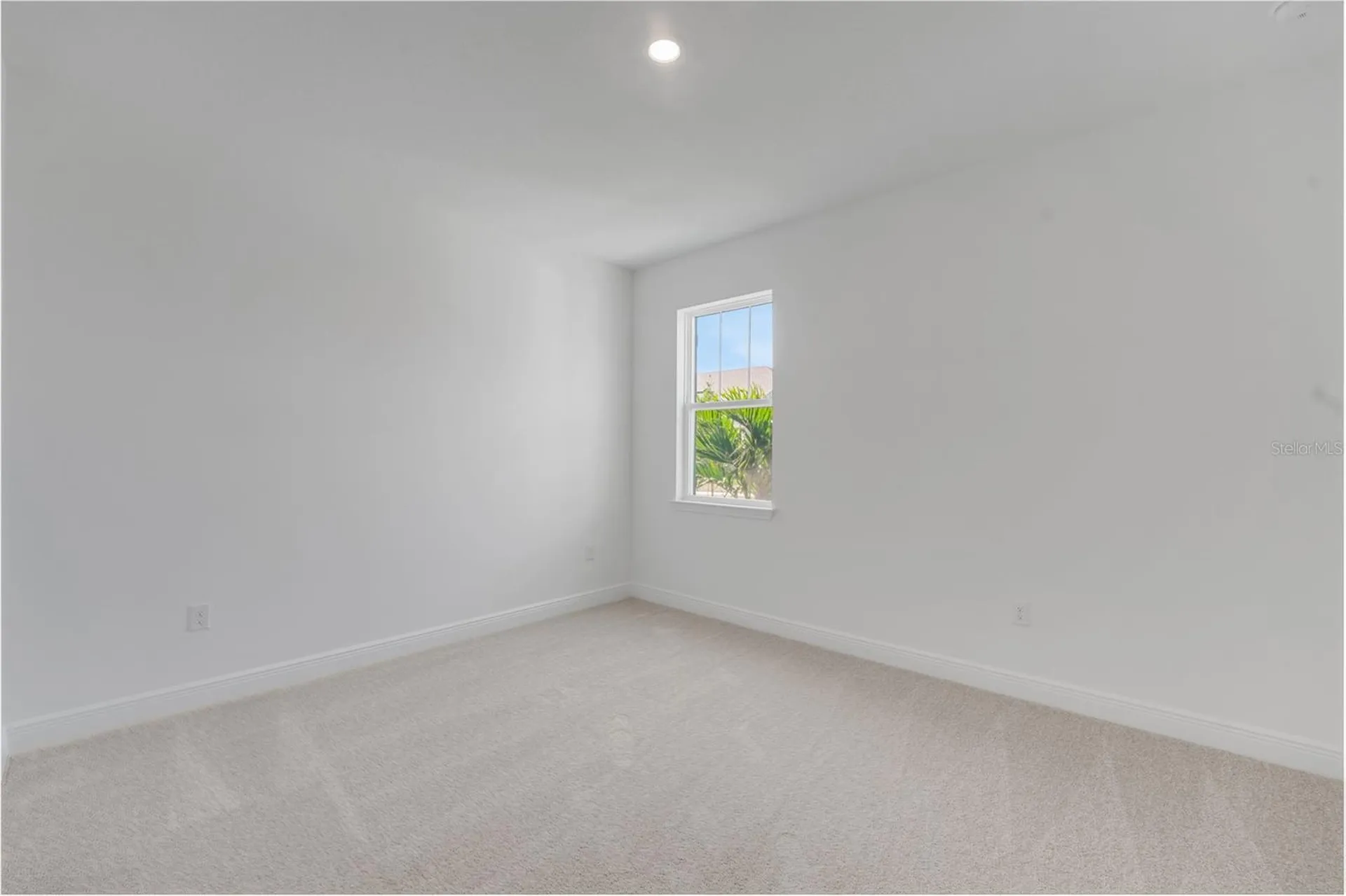 15081 Tea Tree Drive Winter Garden FL 34787