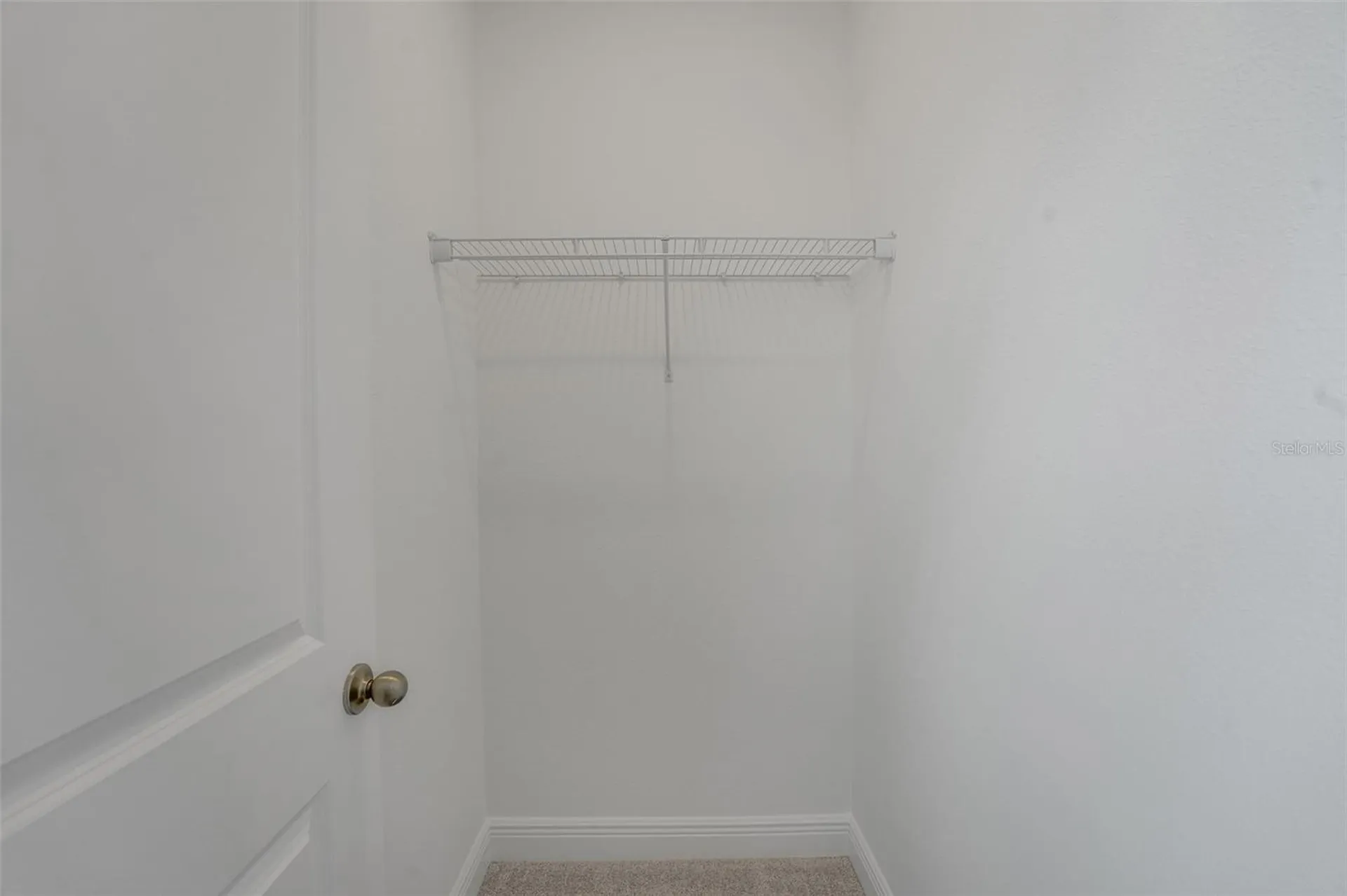 15081 Tea Tree Drive Winter Garden FL 34787