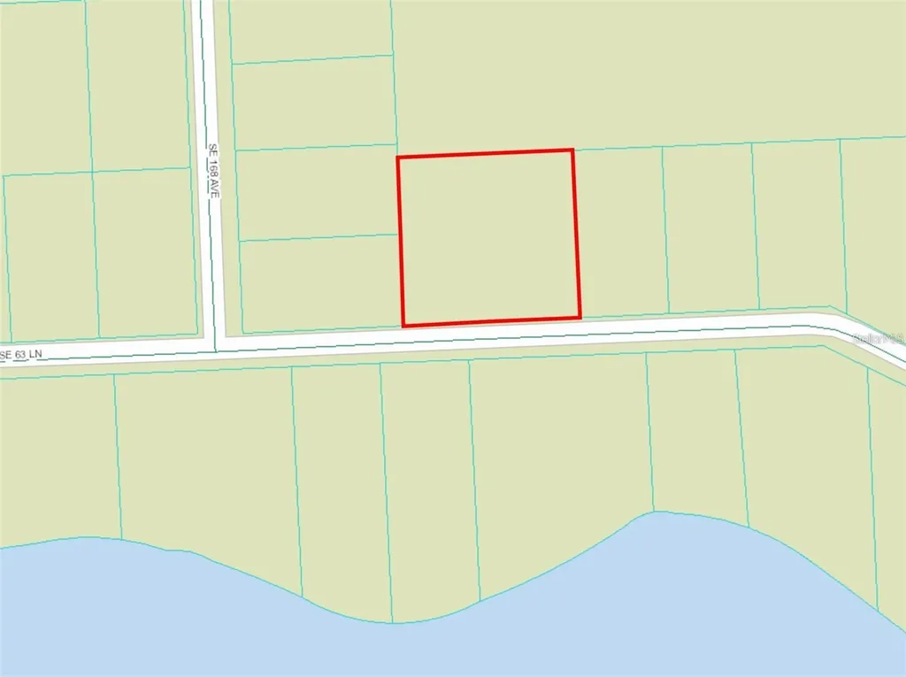 0 SE 63 Lane Ocklawaha FL 32179