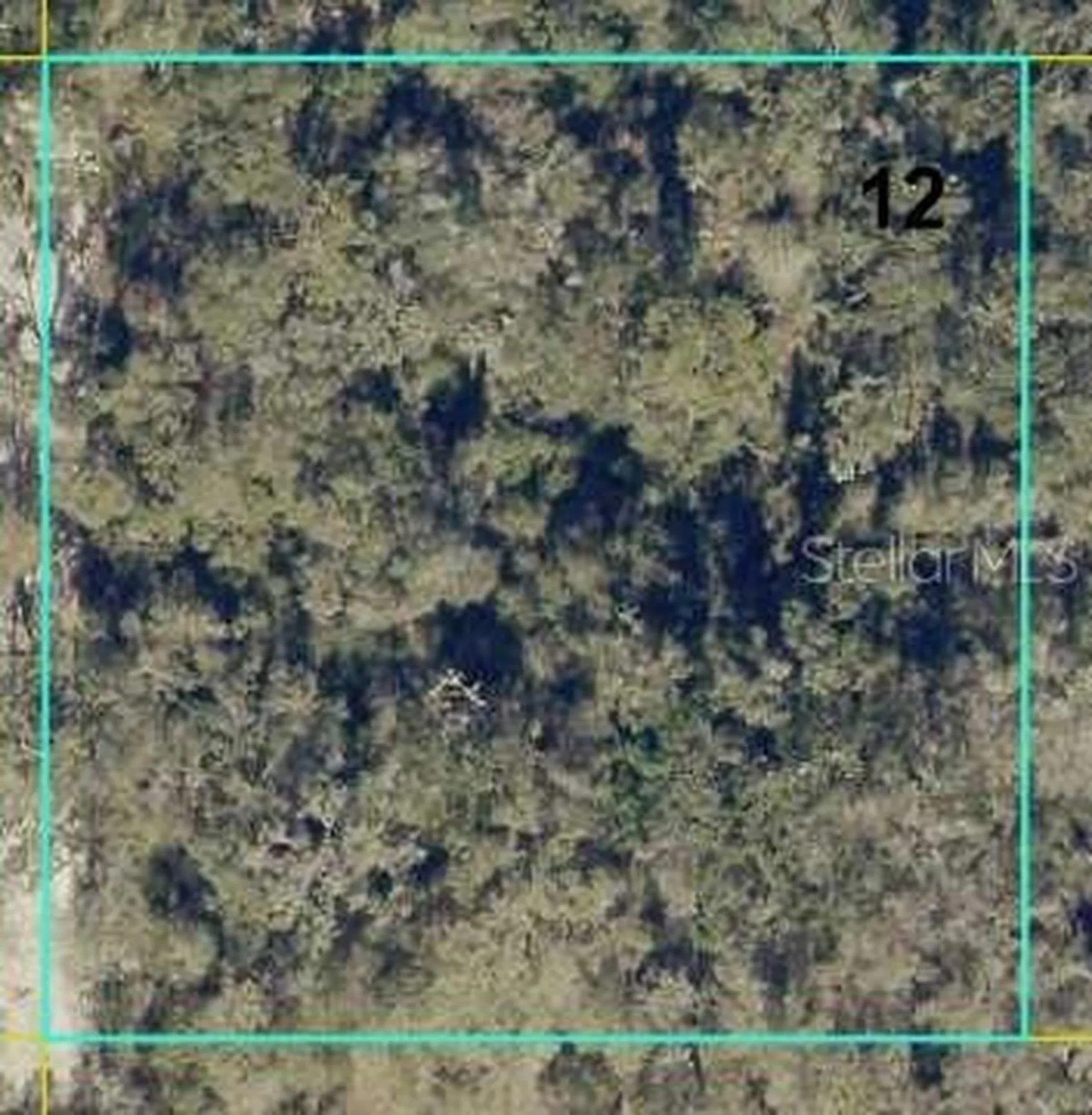 12146 SW 41st Way Webster FL 33597