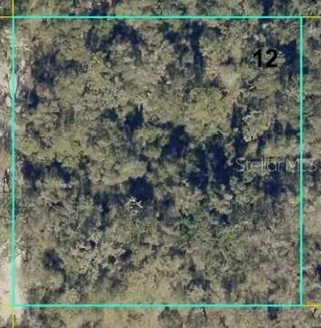 12146 SW 41st Way Webster FL 33597