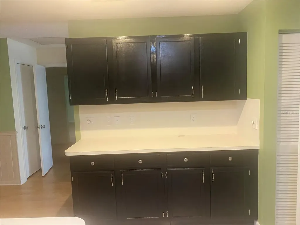 9802 SW 88th Terrace Ocala FL 34481