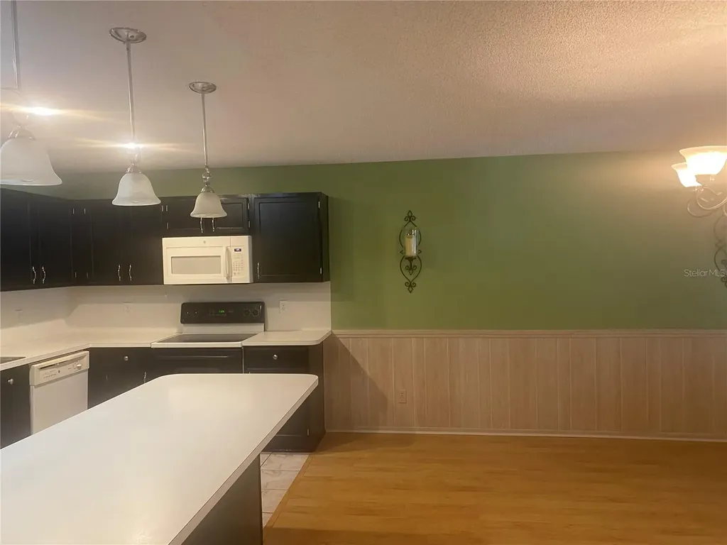 9802 SW 88th Terrace Ocala FL 34481