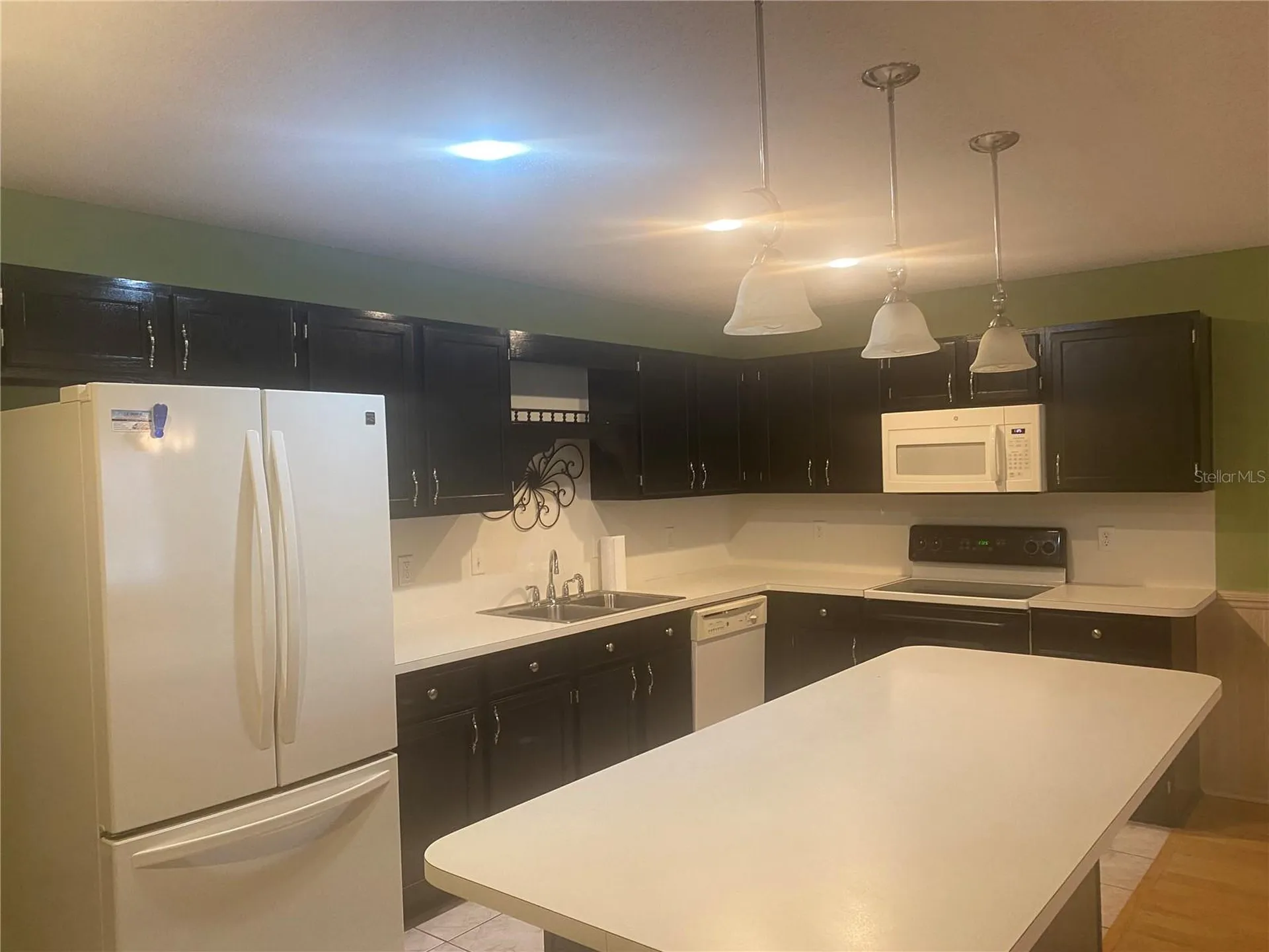 9802 SW 88th Terrace Ocala FL 34481