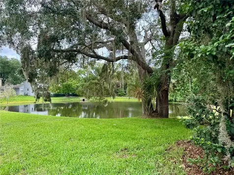 1043 Bucksaw Place Longwood FL 32750
