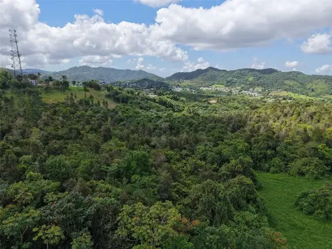 Pr 7718 Km 3.6 Pasto Ward Aibonito PR 00705