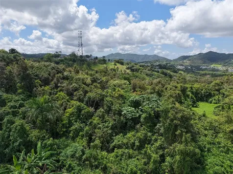 Pr 7718 Km 3.6 Pasto Ward Aibonito PR 00705