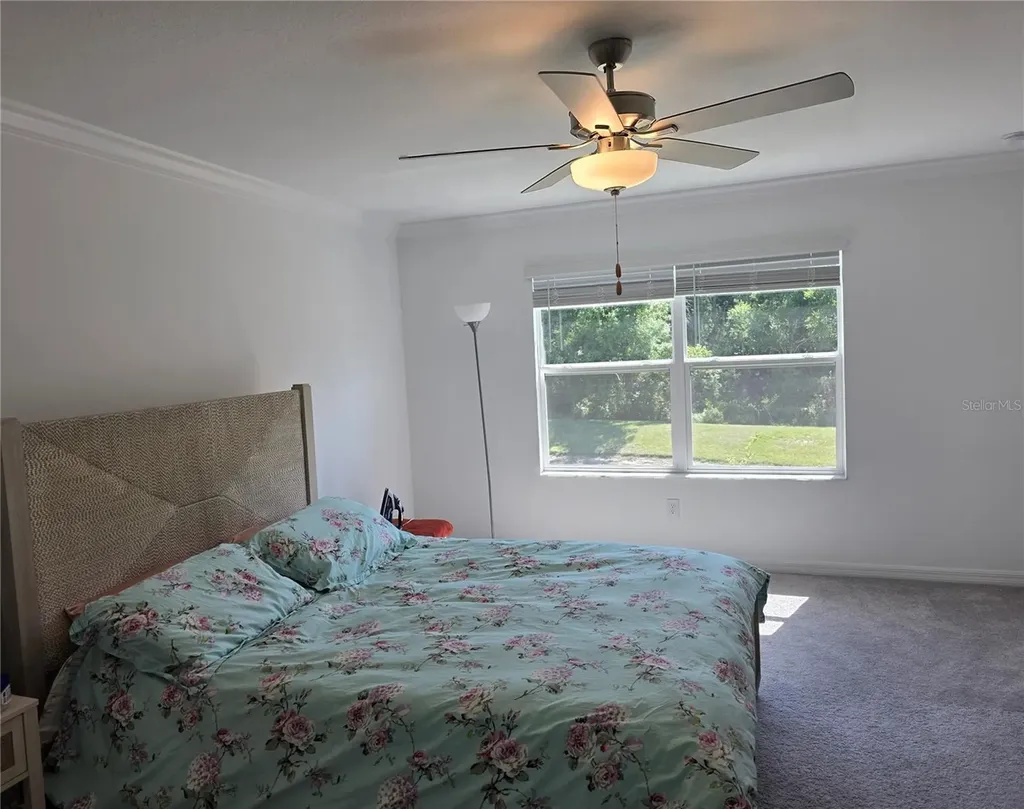 17522 Nectar Flume Drive Land O Lakes FL 34638
