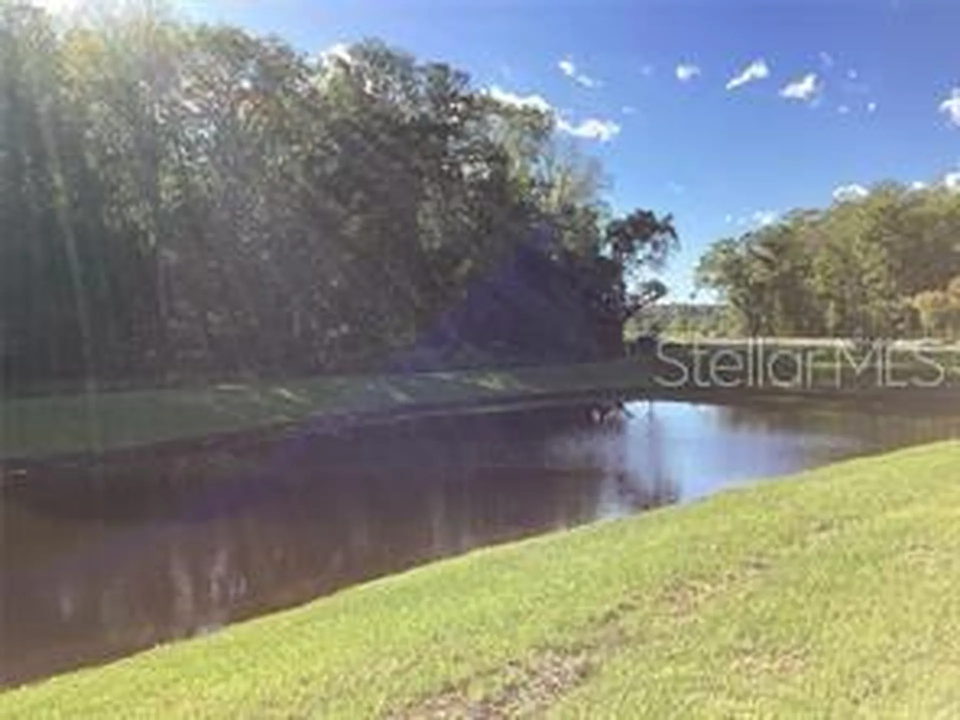 17522 Nectar Flume Drive Land O Lakes FL 34638