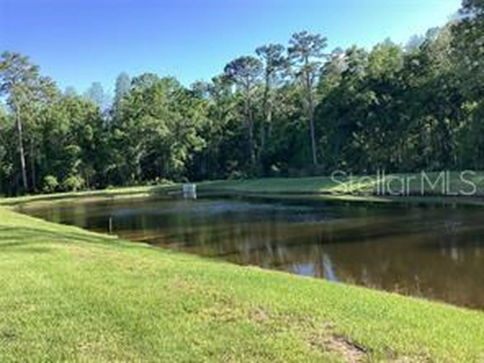 17522 Nectar Flume Drive Land O Lakes FL 34638