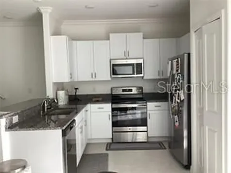 17522 Nectar Flume Drive Land O Lakes FL 34638