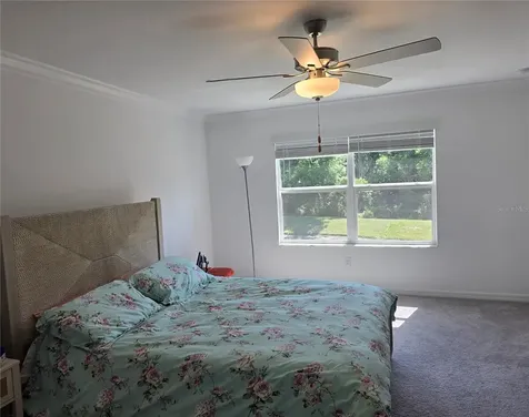 17522 Nectar Flume Drive Land O Lakes FL 34638