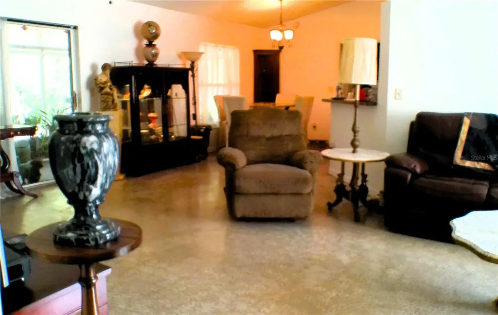 10 Sequoia Drive Trace Ocklawaha FL 32179