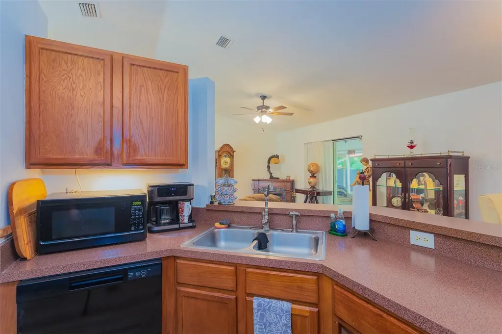 10 Sequoia Drive Trace Ocklawaha FL 32179