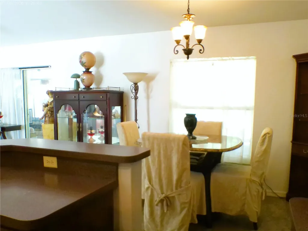 10 Sequoia Drive Trace Ocklawaha FL 32179