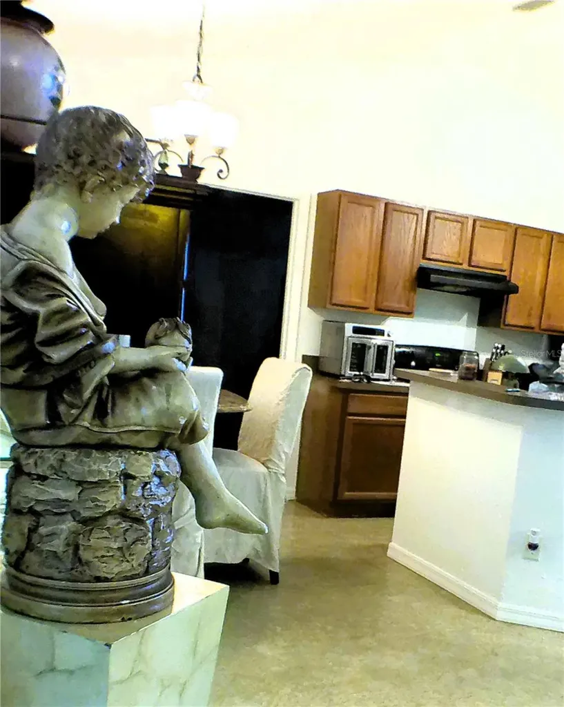 10 Sequoia Drive Trace Ocklawaha FL 32179