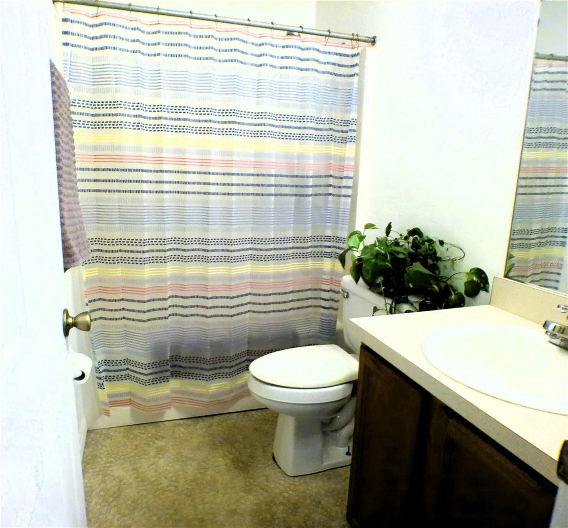 10 Sequoia Drive Trace Ocklawaha FL 32179