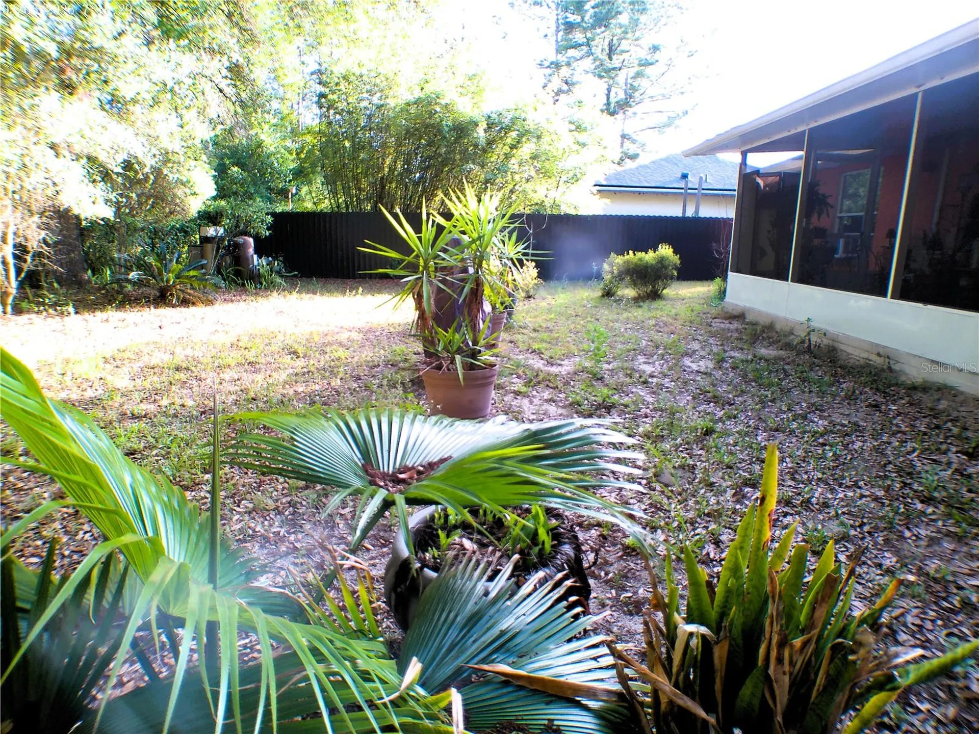 10 Sequoia Drive Trace Ocklawaha FL 32179